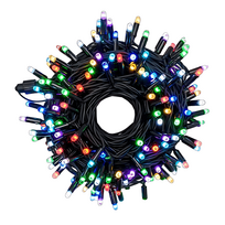 Lempučių girliandos 10 m PROLED RGB