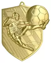 Victoria Sport Viktorijos sporto aukso spalvos medalis – futbolas