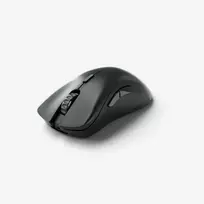 Pelė Glorious Model D 2 PRO 4K/8K Polling Gaming Mouse Black