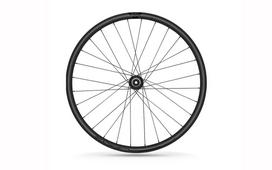Ratas priekinis 700C Ready19 12x100 6-Bolt SB