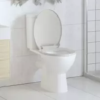Klozeto sėdynė su Soft Close mechanizmu, ovalo formos