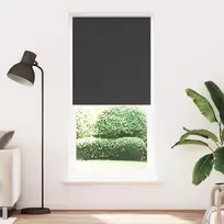 Roletas su tamsinančiomis užuolaidomis, 104,4x230 cm, audinys, plotis 100 cm, juodos spalvos