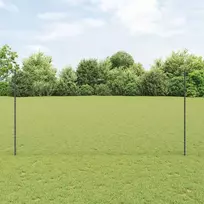 Suvirinto vielos tvoros 100 x 1,6 m (P x A) PVC dengtas plienas