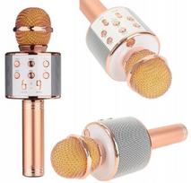 Belaidis karaoke mikrofonas su garsiakalbiu ir Bluetooth