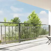 Skaidrus brezentas su ąselėmis 1x12 m PVC