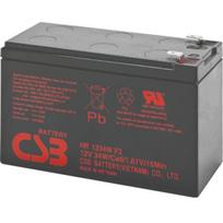 Bluewalker PowerWalker Battery CSB HR1234W (black)