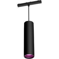Philips Hue išmanusis pakabinamas šviestuvas 929003115901, 5.2 W, 510 lm, 2000-6500 K, IP20, Bluetooth/Zigbee, juodas