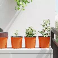 Gėlių vazonas 50 pcs Terakotos Ø 15 x 13 cm Plastmasė