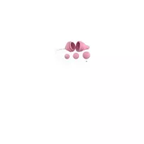 Adrien lastic Pelvix Concept Pelvic Floor Exerciser