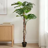 Dirbtinė Monstera Augalas Žalia 94 x 18 x 170 cm