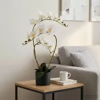 Dirbtinė orchidėja su vazonu Balta 45 x 15 x 65 cm