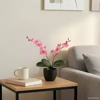Dirbtinė orchidėjų augalas Rožinė 36 x 10 x 30 cm