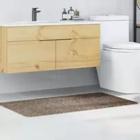 Neslystantis vonios kilimėlis Ruda 70 x 120 cm PP