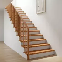 Laiptų pakopos 12 vnt. 110 x 30 x 2 cm Šviesiai rudas