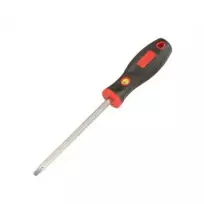 Atsuktuvas TORX su centrine skyle T25 (506+7925, GENIUS)