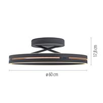 Paul Neuhaus Lubinis šviestuvas PURE LOOP 6552-18