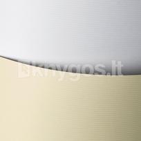 Dekoratyvinis popierius LINIE A4 baltas 230g 20l