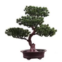 Festivalio vazoninis augalas Imitacija Dekoracija Bonsai Namų Biuro Pušies Medis „Pasidaryk pats“ Ornamentas Gyvas Aksesuaras Dirbtinis Bonsai Geriausia Dovana