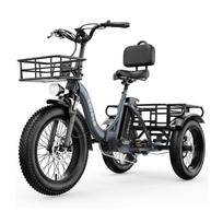 CYBERVELO C16 Elektrinis krovininis triratis su 48V 20.8Ah nuimama baterija pilka