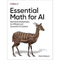 Oreilly Essential Math for AI Paperback UKN623