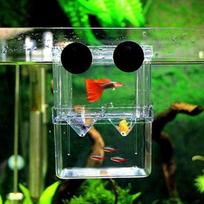 Acrylic Fish Breeding Aquarium Dual Layer Hanging Fry Baby Fish Hatchery Incubator Net Fish Breeding Isolation Box gray