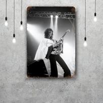 Brian May Metalinės plokštės sienų dekoras Vintažinės skardinės plokštės Kapitono metalinis plakatas Dekoracija barui, užeigai, klubui Sienų dekoracija 30x40cm(11.8x15.7inch)