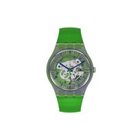 SWATCH Unisex Green Watch SUOM117 SUOM117 Green gray