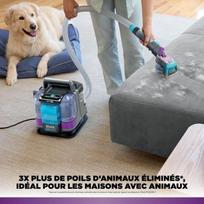 SHARK PX200EU dėmių šalinimo valiklis StainStriker - 450W - Kilimai, baldai ir audiniai