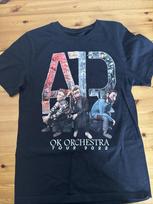 AJR OK Orchestra Tour Short Tee Cotton Shirt All Size WA178 Unisex T-Shirt L gray