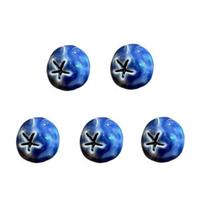 5/6/10 vnt. 3D realistiškas mėlynių šaldytuvo magnetas Mini vaisių dekoras Dervos maisto šaldytuvo magnetai Namų biuro šaldytuvo dekoras Dovana 5pcs blue