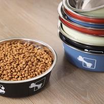 Stainless Steel Non-Slip Dog Bowl with Water Dispenser - Double Layer, Large Capacity for All Dog Sizes 300ml [12cm] - Recommended for Puppies gray