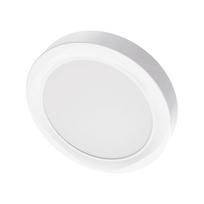Paviršinė LED panelė SPECTOR LIGHT, 24 W, 3000 K, 2500 lm, apvali f., baltos sp., Ø22,5 x h3 cm