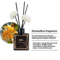 50 ml Nedegus oro gaiviklis viešbučiams - Vonios ir tualeto gaiviklis-parfumas 50ML black