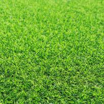 1 Square Meter 2*0.5m Thickened Artificial Turf,  1.38 Inches in Thickness. Synthetic Lawn Mat Suitable for Indoor and Outdoor Garden Landscapes. žalia