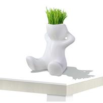 Mini bonsai galvos žolės plaukai balti keraminiai augalų sodai, medžio lėlės vazonas balta