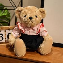 Couple Dress Bear Teddy Bear Doll Plush Toy Hug Bear Doll Girl Soothing Ragdoll 25cm（0.23kg） brown