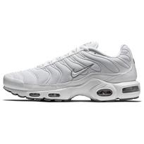 Nike Air Max Plus 'White' 604133-139 40 gray