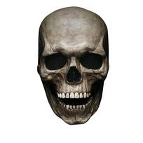 Halloween Props Easter Party Prank Head Cover Halloween Mask Full Head Skull Movable Jaw Skull Mask pilka