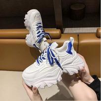 Women's Trendy 2025 Slimming Hong Kong Style Sports Shoes - Versatile, Breathable, and Height-Enhancing Dad Sneakers 37 mėlyna