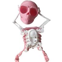 Žaislas - "Šokanti 3D kaukolė" - Rožiniai baltas modelis (17 cm)