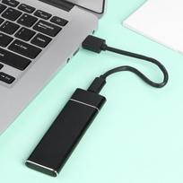 Didelės spartos išorinis kietasis diskas - Juoda / 1 TB