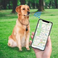GPS sekimo įrenginys augintiniams - Mėlyna