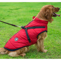DogFashion™ neperšlampama žieminė striukė šunims - Raudona / XL