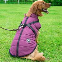 DogFashion™ neperšlampama žieminė striukė šunims - Violetinė / XXL