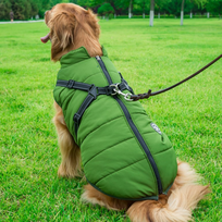 DogFashion™ neperšlampama žieminė striukė šunims - Žalia / S