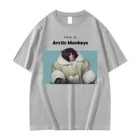 Funny This Is Arctic Monkeys Graphic TShirt Men Women Hip Hop Retro Punk Clothing T-shirt Casual Cotton Oversized T Shirts Tops XXXL gray