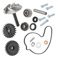 Pump assembly 0800-08000A is suitable for cfmoto cforce zforce 800 gray
