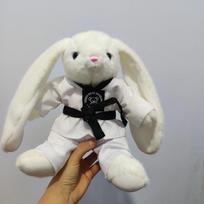 Kūrybiškas Taekwondo meškinas pliušinis žaislas meškiukas lėlė aprengiama lėlė griebimo mašinos lėlė vaikiškos dovanos 25cm gray