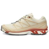 SALOMON XT 6 GORE TEX 'Almond Milk Burnt Ochre' L47865200 42⅔ smėlis