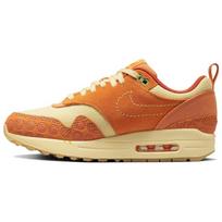 Nike Air Max 1 Prm Somos Familia Women's DZ5352-847 41 brown